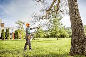 Best Tree Mulching  in Arkoma, OK
