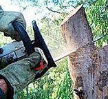 Best Hazardous Tree Removal  in Arkoma, OK