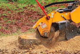 Best Utility Line Clearance  in Arkoma, OK