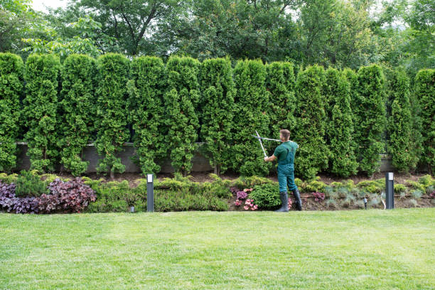 Best Emergency Tree Removal  in Arkoma, OK