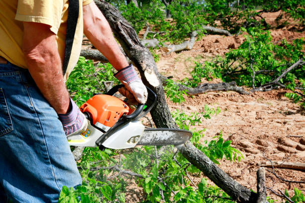 Best Weed Control  in Arkoma, OK